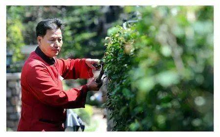 开云 开云体育官网物业到底是干什么的？(图2)