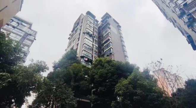 5月1日开始实施！《绵阳市物业管理条例》业主共有收益更公开、更透明开云APP 开云官网入口(图1)