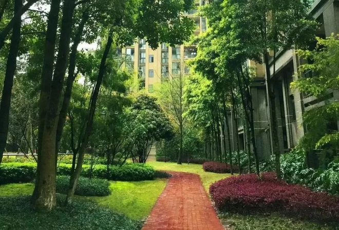 中国开云体育 开云平台物业新战事：服务无界