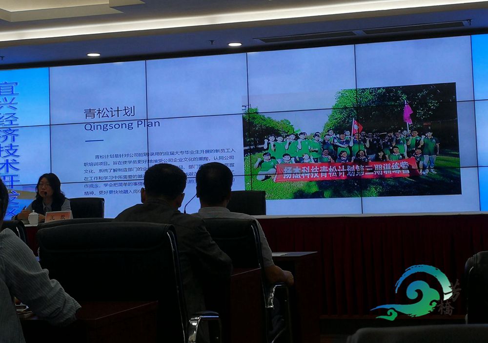 开云 开云体育官网芳桥街道