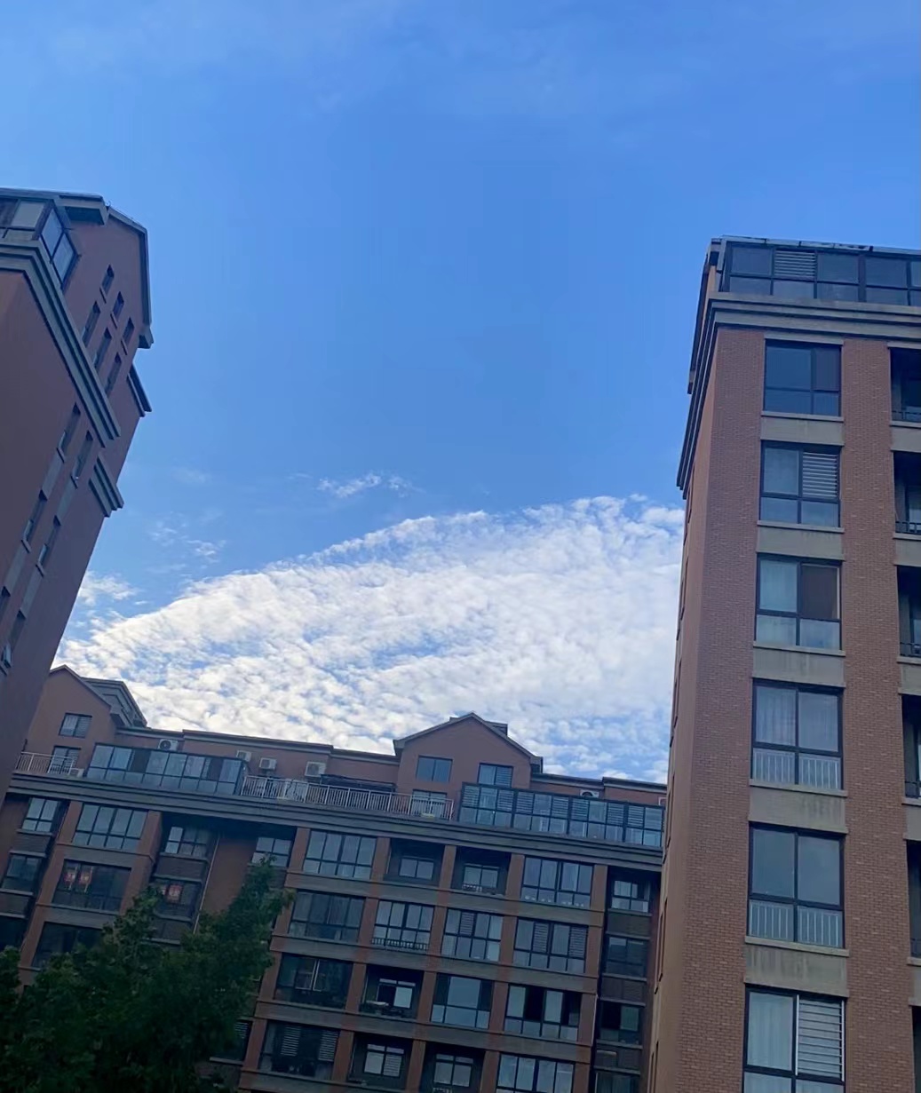 物业管理主要负责的工作是什么？物业专项服务的主要内容是什么？