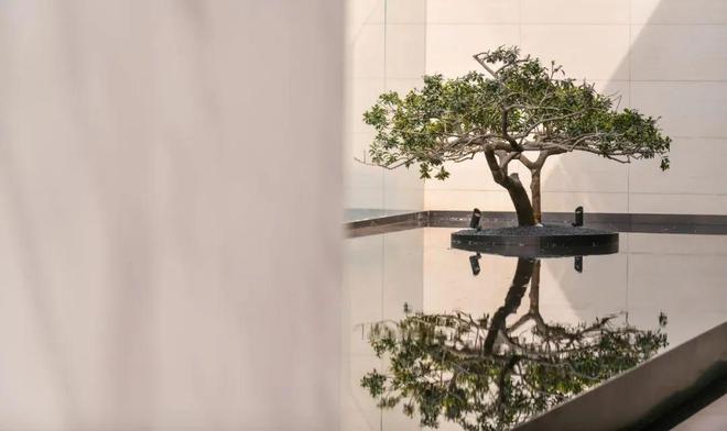 西派澜岸-官方网站—西派澜岸欢迎您【官方唯一指定网站开云 开云体育官网】(图4)