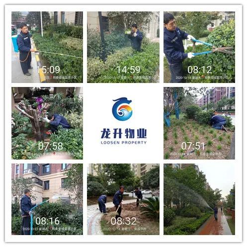 叮叮叮～关于你家的10月物业简报请查收～开云体育 开云平台(图6)