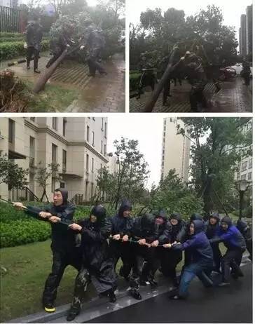 【小区物管】物业到底是干什么的？什么样的物业是好开云 开云体育官网？这下终于有人说清楚了！(图3)